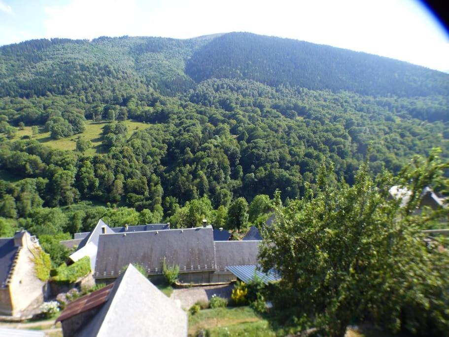 Maison Familiale Pour 8 Saint-Aventin Bagian luar foto