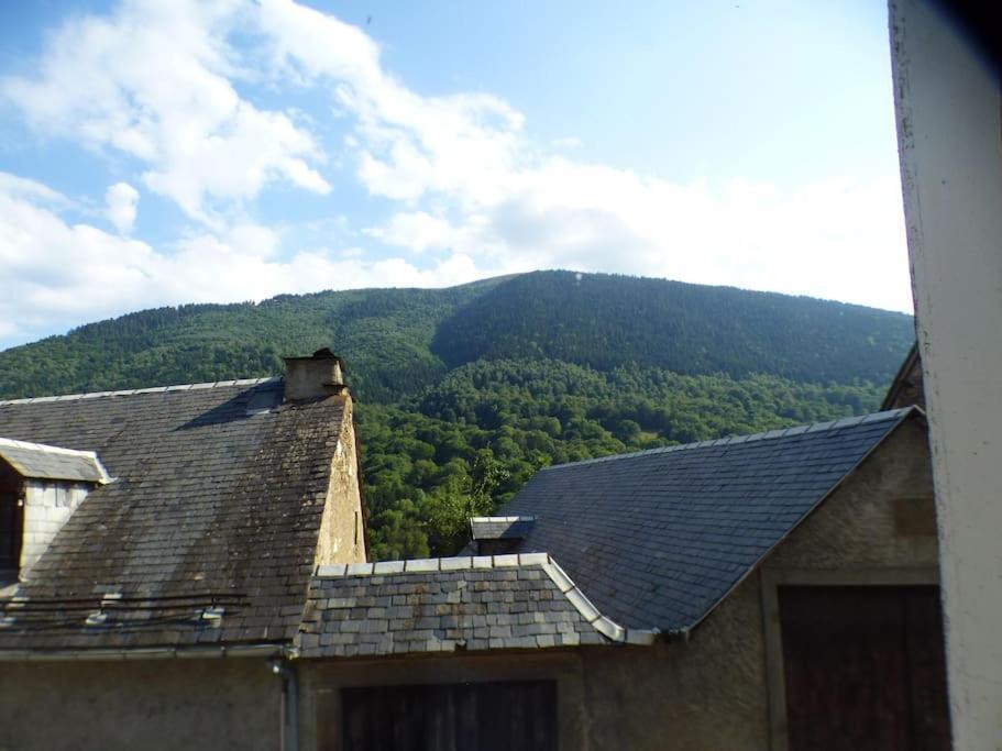 Maison Familiale Pour 8 Saint-Aventin Bagian luar foto